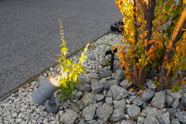 スポットライト